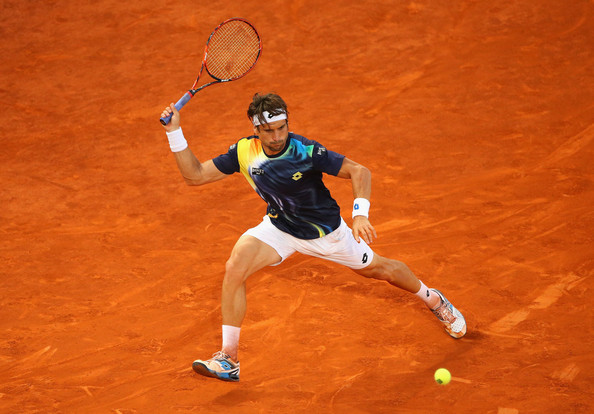 David Ferrer, Tennis, French Open