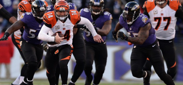 AFC North Predictions and Preview – 2014/15 NFL Season