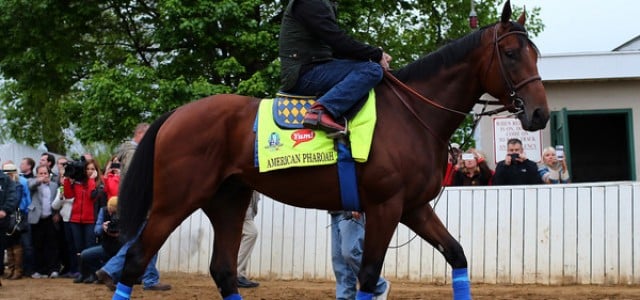 2015 Kentucky Derby Picks, Predictions, and Betting Preview
