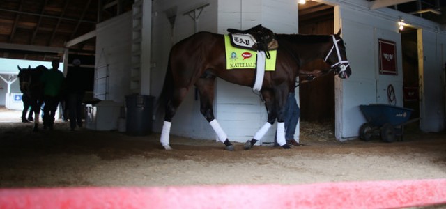 2015 Preakness Stakes Expert Sleeper Picks and Predictions