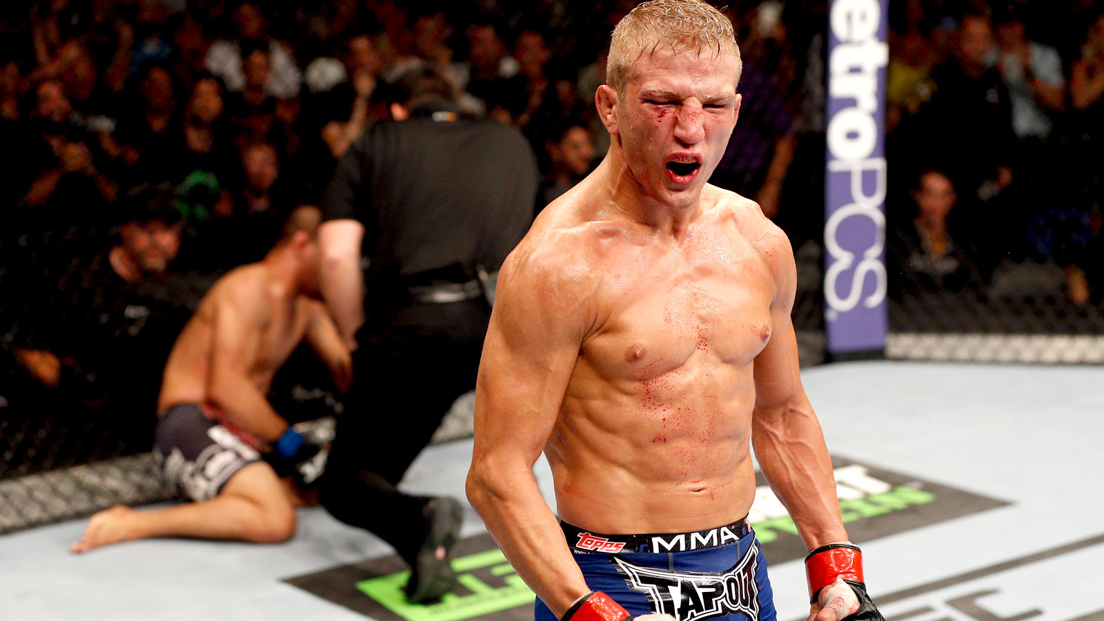 TJ Dillashaw celebrating after knocking out Joe Soto