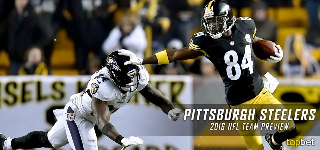 Pittsburgh Steelers 2016-17 NFL Team Preview