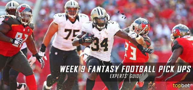 Fantasy Football Expert Guide Pick Ups for Week 9 of the 2016-17 NFL Season