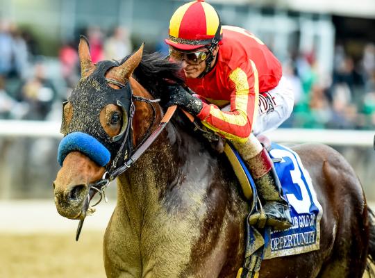 hoppertunity-2016-breeders-cup-preview