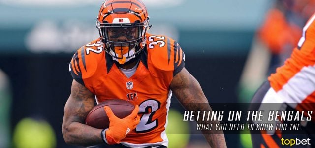 Bet on the Bengals to Win Against the Texans in their NFL Week 2 Game 2017