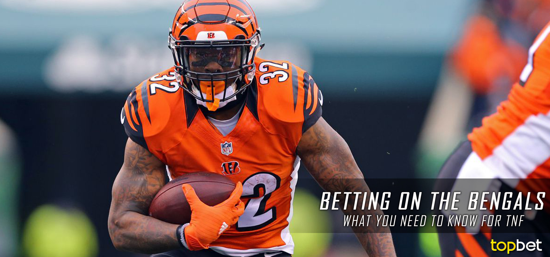 Bet On The Cincinnati Bengals Game - NFL Week 2 2017