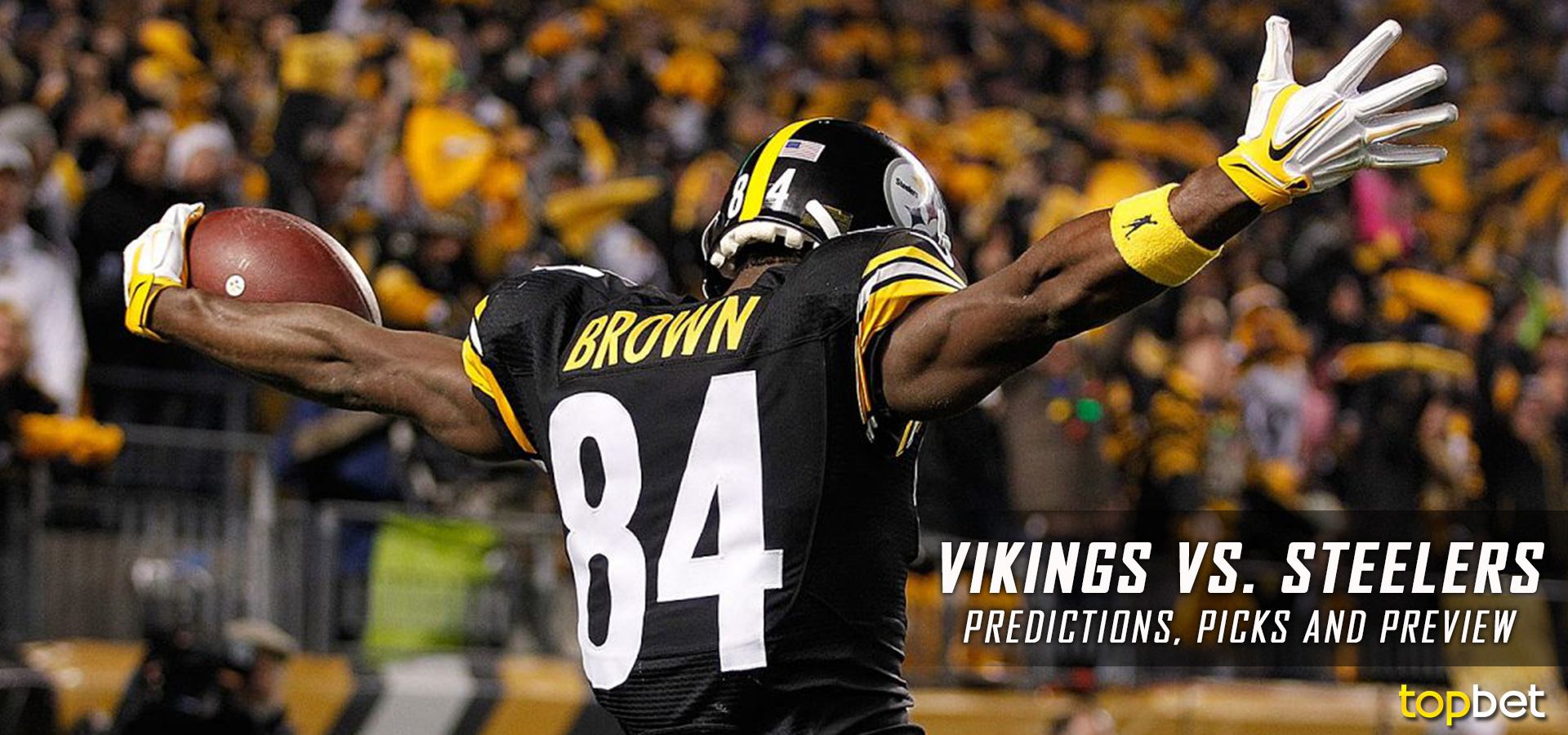 Minnesota Vikings vs Pittsburgh Steelers Predictions & Picks