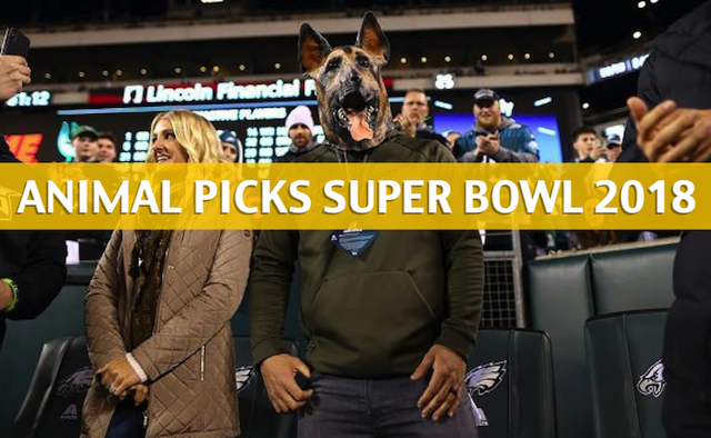 super bowl predictions picks