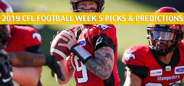 Calgary Stampeders vs Hamilton Tiger Cats Predictions, Picks, Odds, Preview – CFL Week 5 – July 13 2019