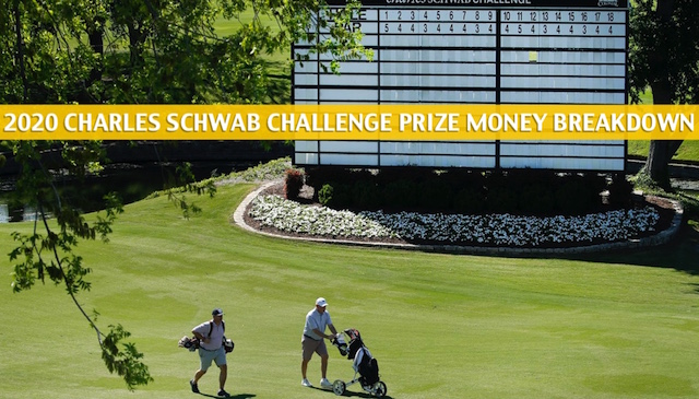 charles schwab cup purse