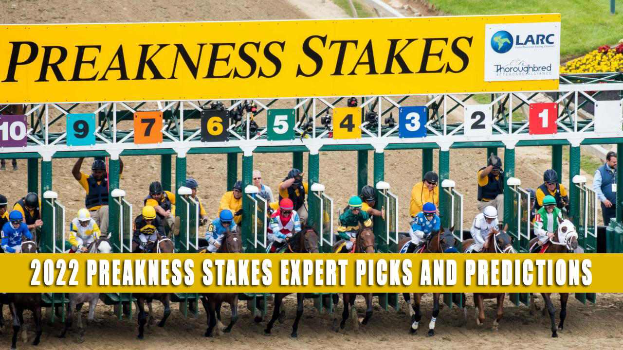 Preakness Stakes Expert Picks and Predictions 2022