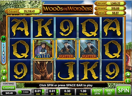 Woods of Wonder Game
